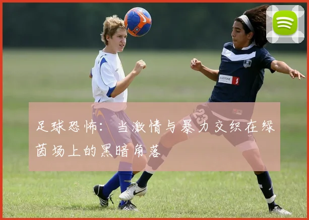 足球恐怖：当激情与暴力交织在绿茵场上的黑暗角落
