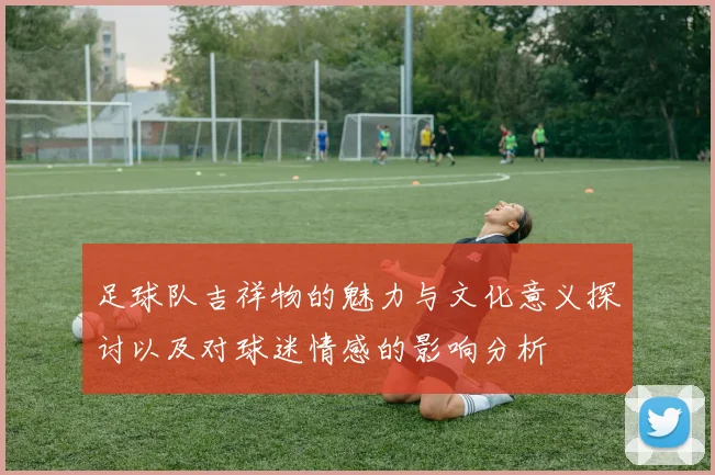 足球队吉祥物的魅力与文化意义探讨以及对球迷情感的影响分析