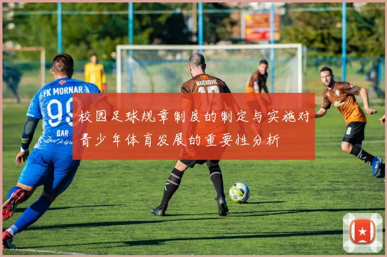 校园足球规章制度的制定与实施对青少年体育发展的重要性分析
