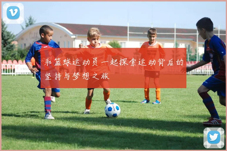 和篮球运动员一起探索运动背后的坚持与梦想之旅