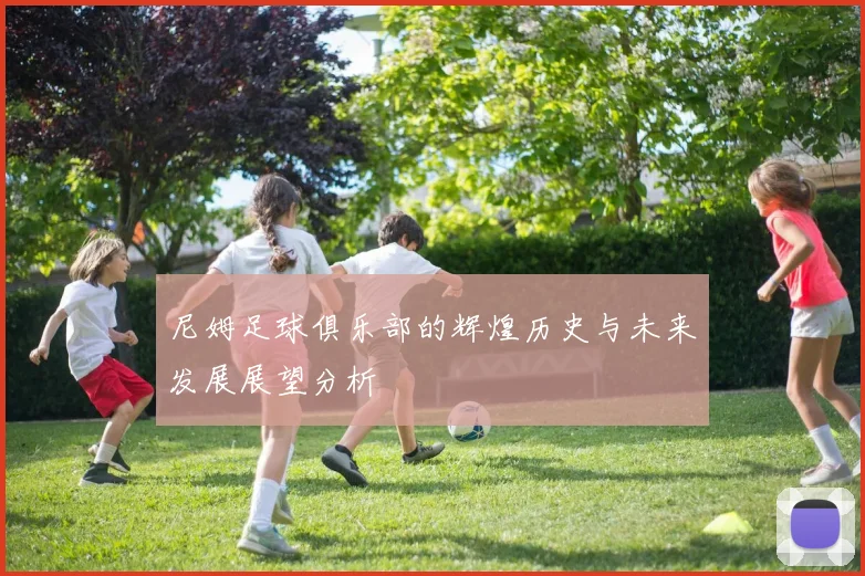 尼姆足球俱乐部的辉煌历史与未来发展展望分析