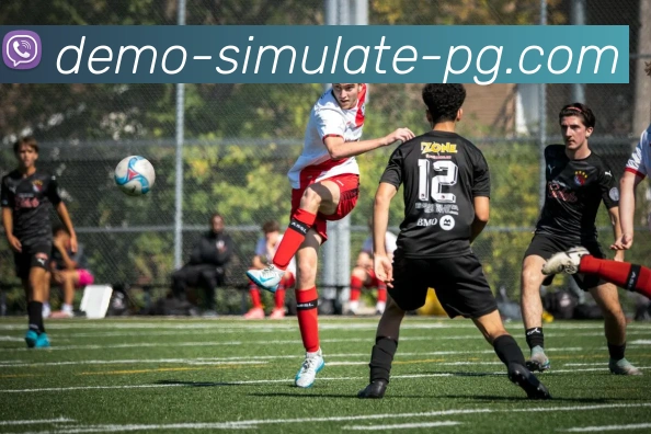 PG电子游戏平台生态图